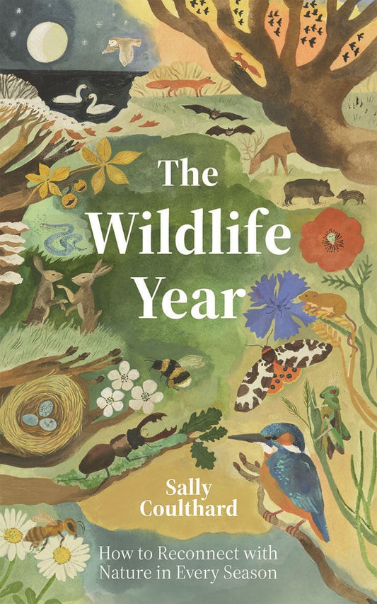 The Wildlife Year: How to Reconnect with Nature