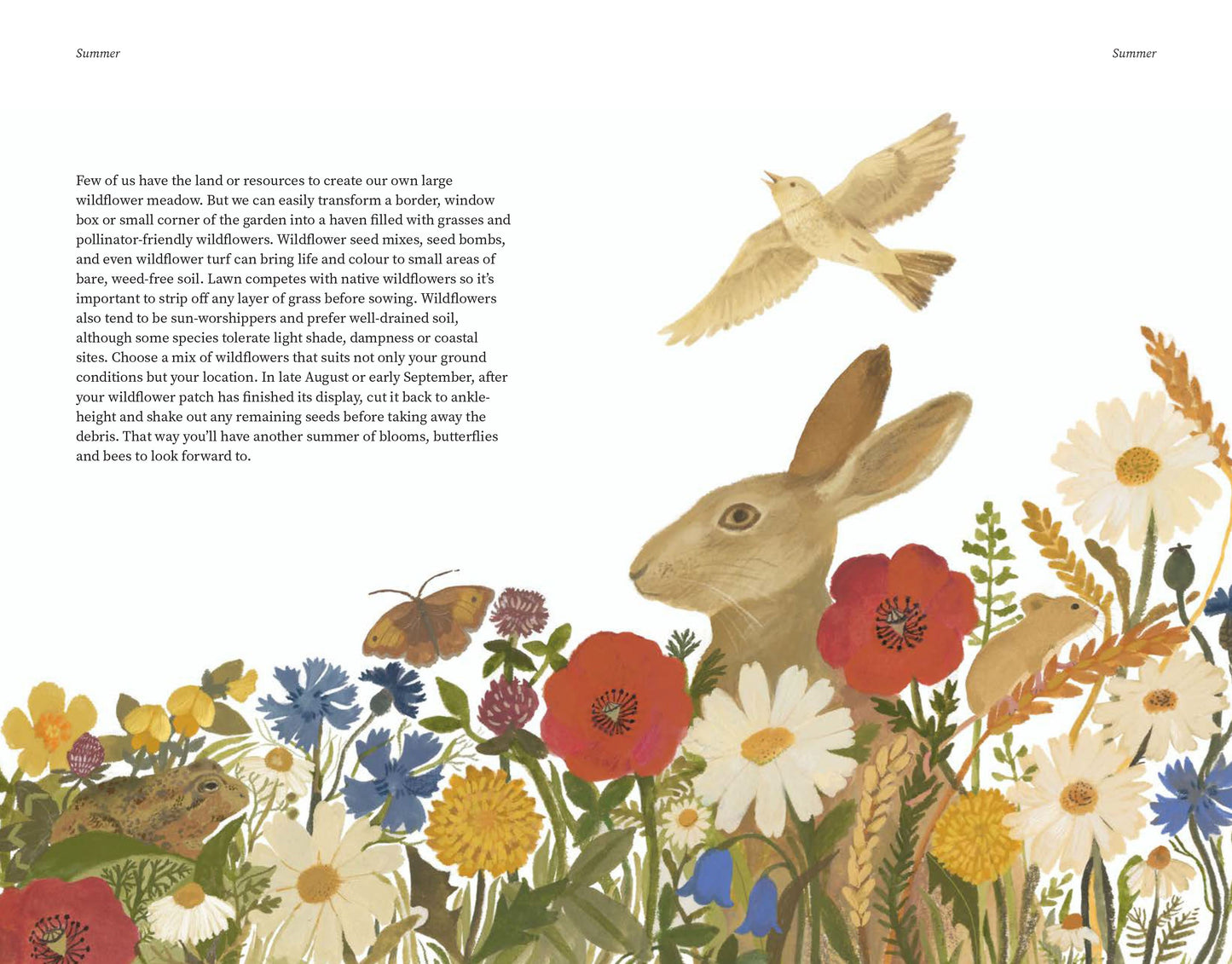 The Wildlife Year: How to Reconnect with Nature