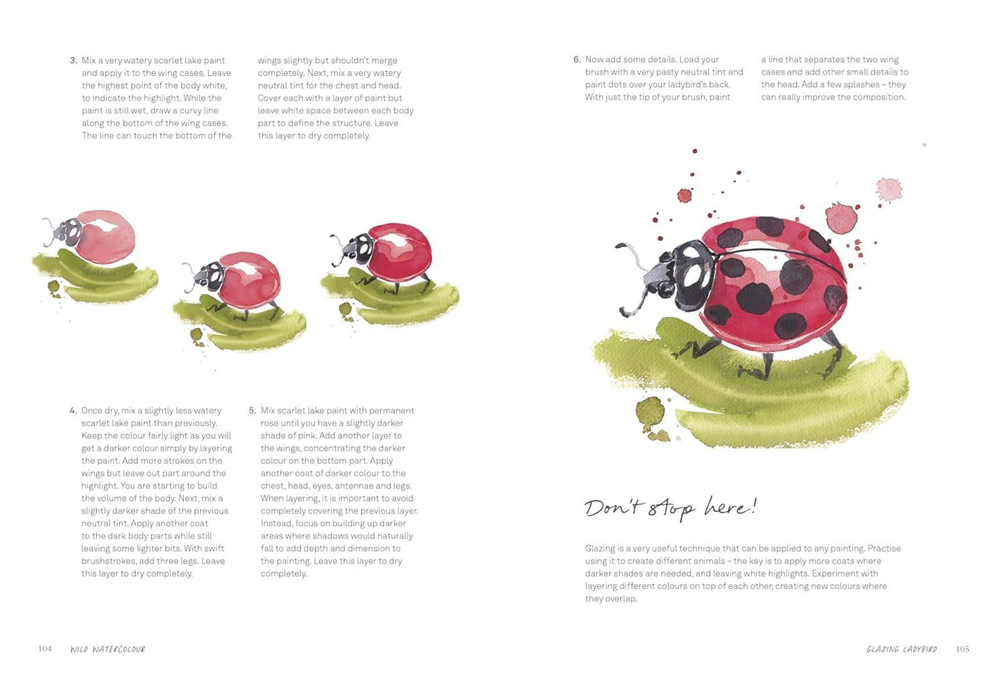 Wild Watercolour: Connect to the natural world through the art of painting