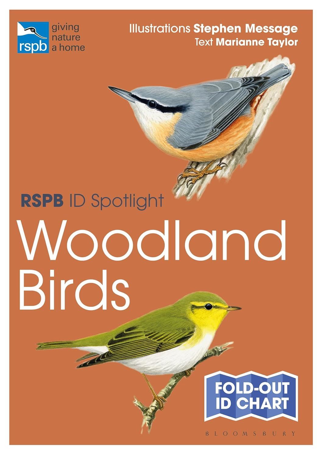 RSPB ID Spotlight - Woodland Birds (Fold-out chart)