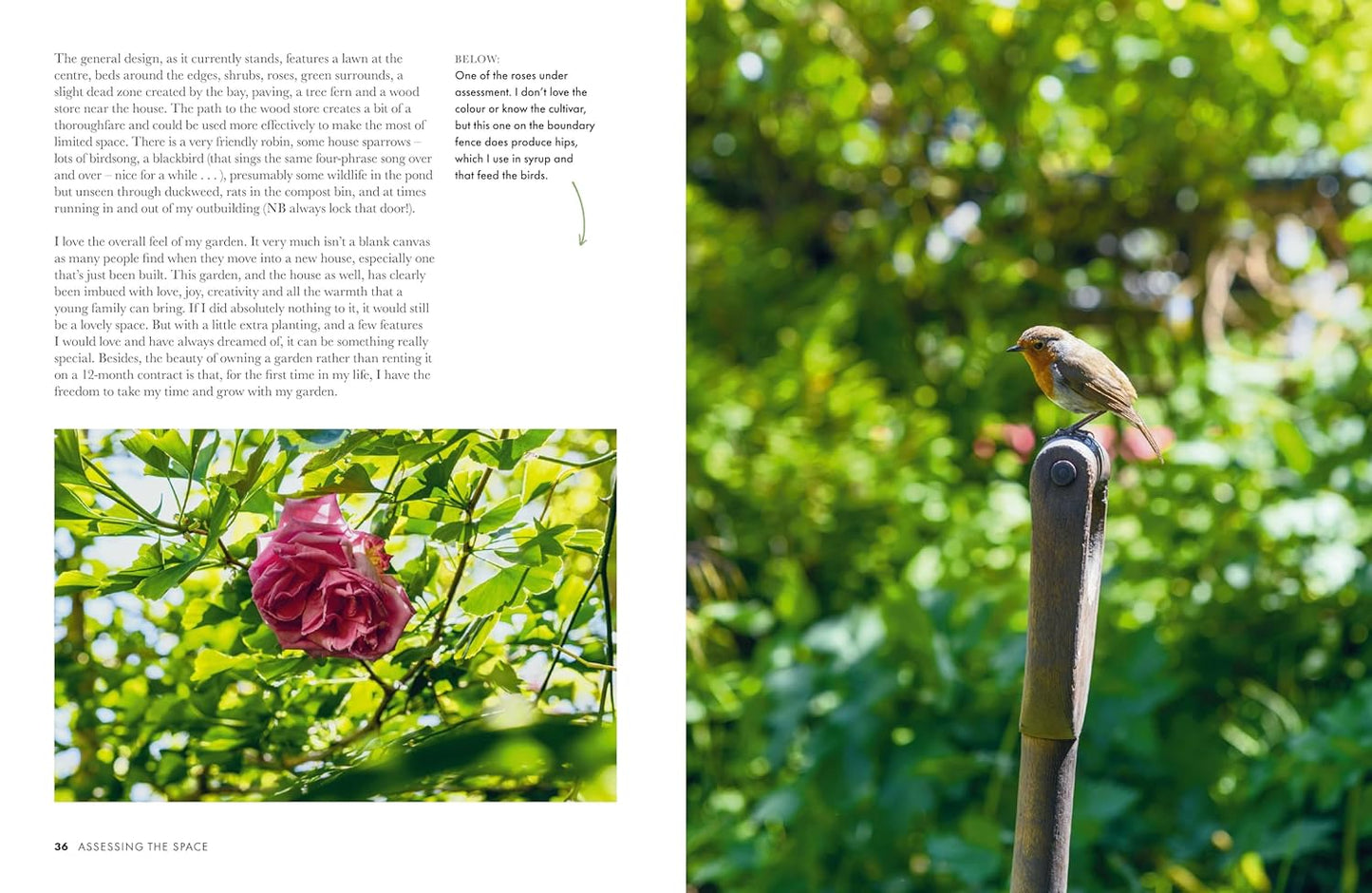 Gardeners’ World: A Year in a Small Garden: Creating a Beautiful Garden in Any Space