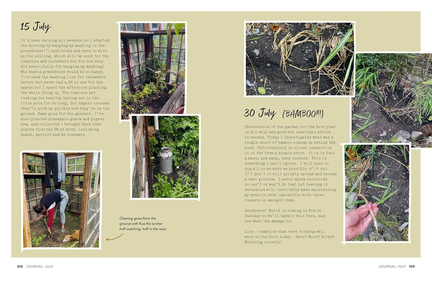 Gardeners’ World: A Year in a Small Garden: Creating a Beautiful Garden in Any Space
