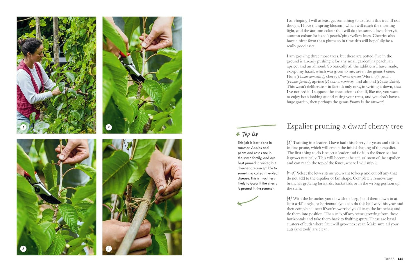 Gardeners’ World: A Year in a Small Garden: Creating a Beautiful Garden in Any Space
