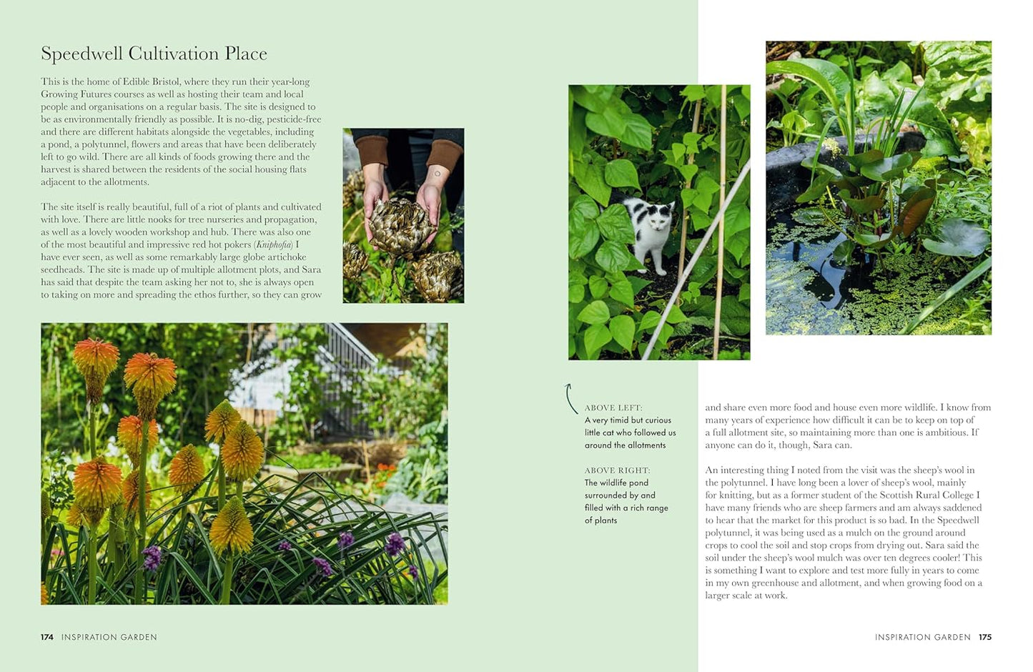 Gardeners’ World: A Year in a Small Garden: Creating a Beautiful Garden in Any Space