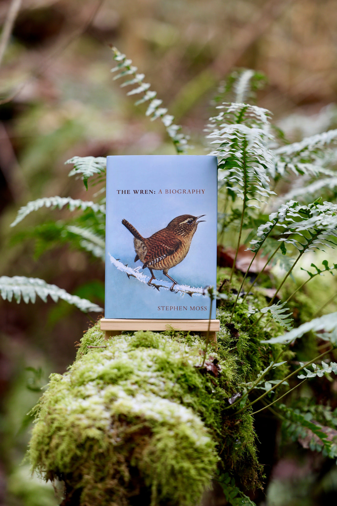 Nature Writing Books: Our Top Five Essential Reads