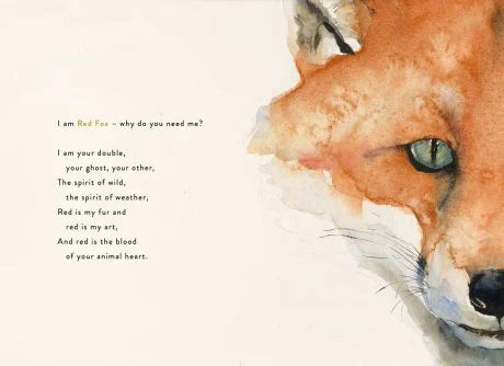 The Lost Spells : An enchanting, beautiful book for lovers of the natural world