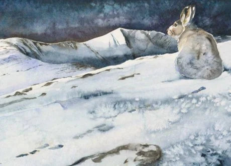 The Lost Spells : An enchanting, beautiful book for lovers of the natural world