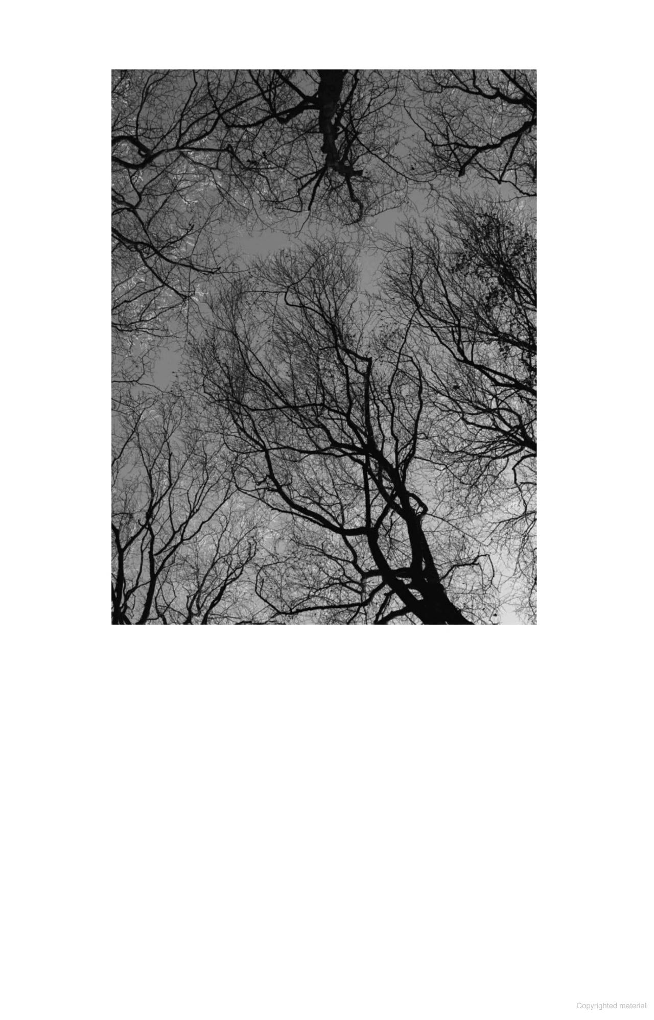 The Wild Places