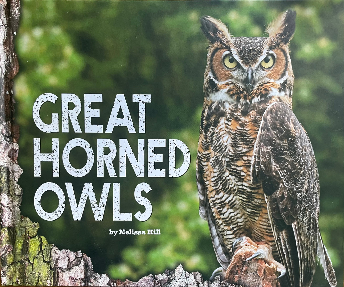 Great Horned Owls (Used)