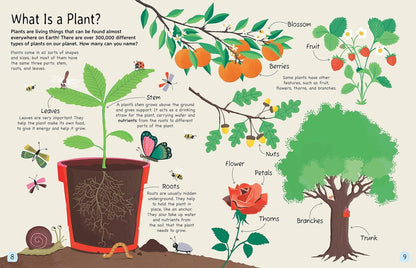 PLANT: Explore the extraordinary world of plants and flowers