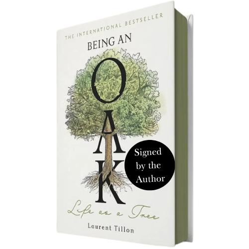 Being an Oak: Life as a Tree (Signed Edition)