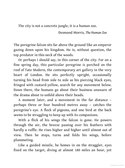 The Accidental Countryside: Hidden Havens for Britain's Wildlife