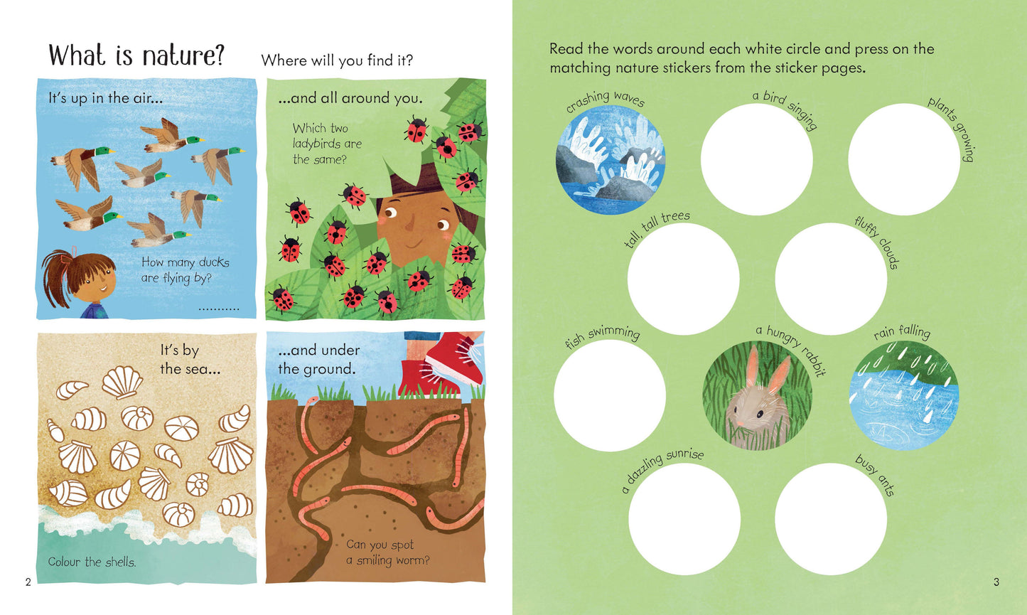 Little Children's Nature Activity Book (Usborne)