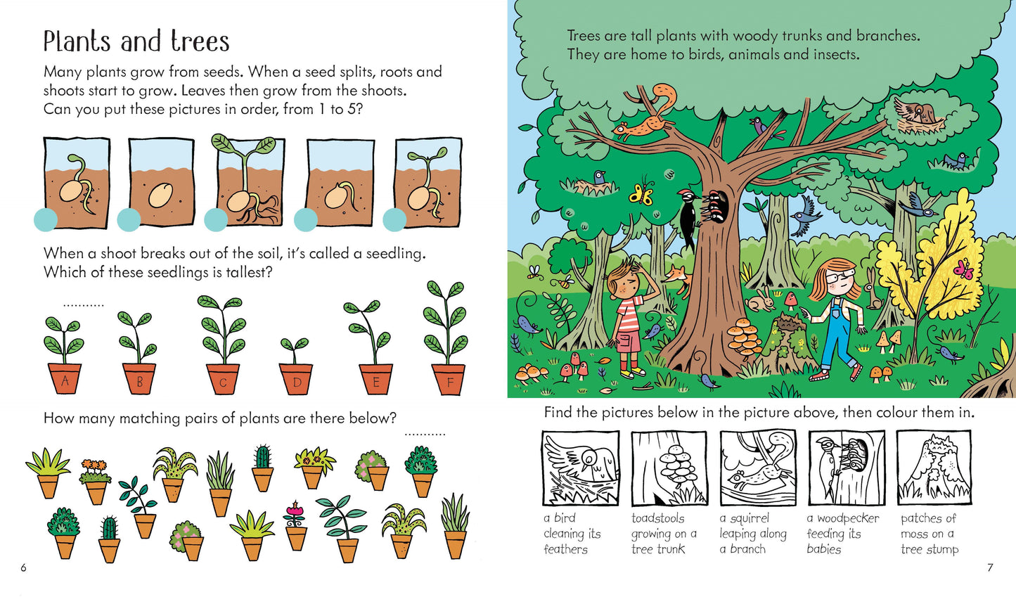 Little Children's Nature Activity Book (Usborne)