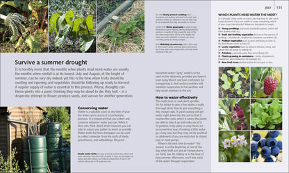 Allotment Month By Month (DK)