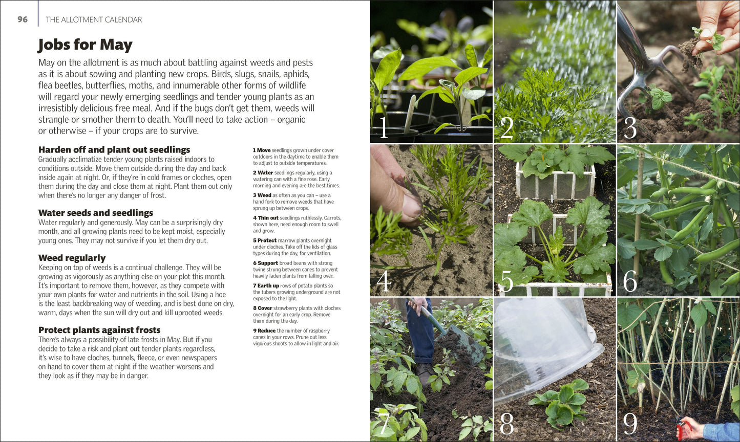 Allotment Month By Month (DK)