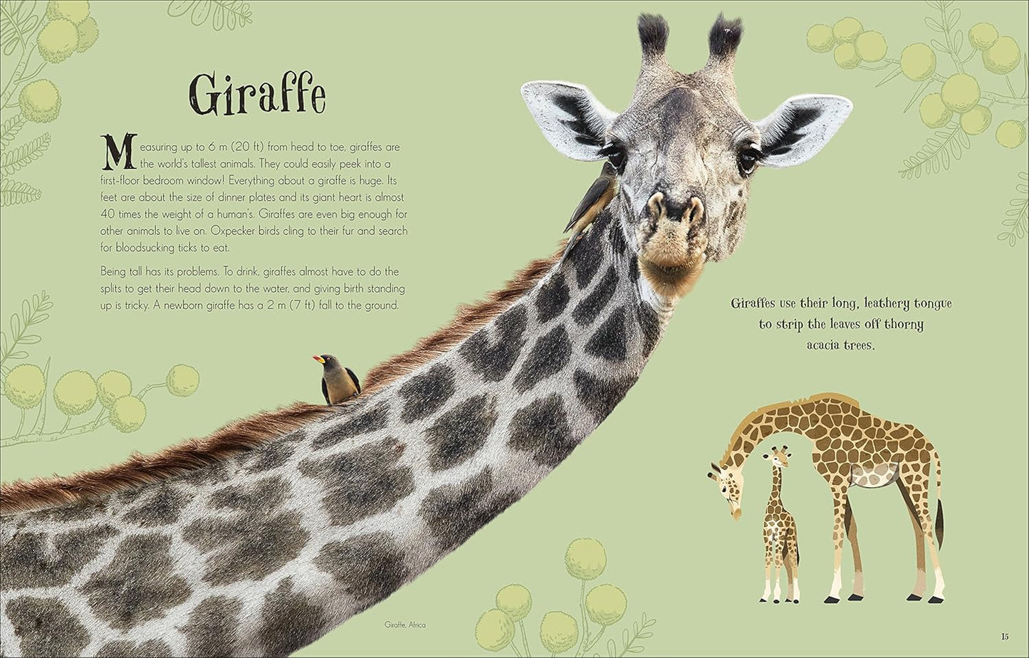 An Anthology of Intriguing Animals: Discover the Fascinating Truths of the Animal Kingdom