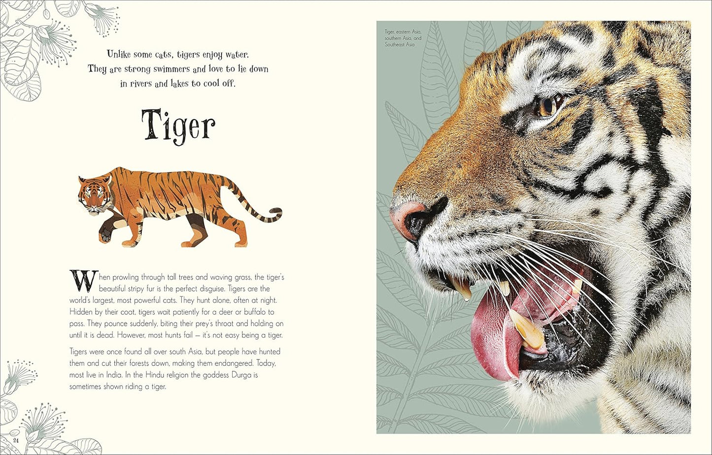 An Anthology of Intriguing Animals: Discover the Fascinating Truths of the Animal Kingdom