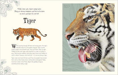 An Anthology of Intriguing Animals: Discover the Fascinating Truths of the Animal Kingdom