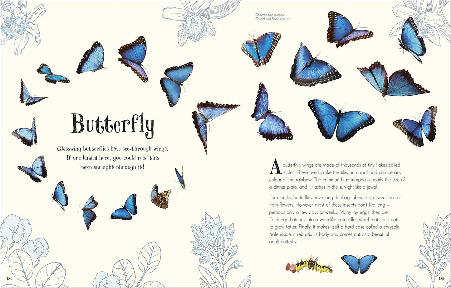 An Anthology of Intriguing Animals: Discover the Fascinating Truths of the Animal Kingdom