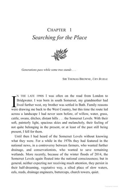 A Wood of One's Own: A lyrical, beguiling and inspiring nature memoir