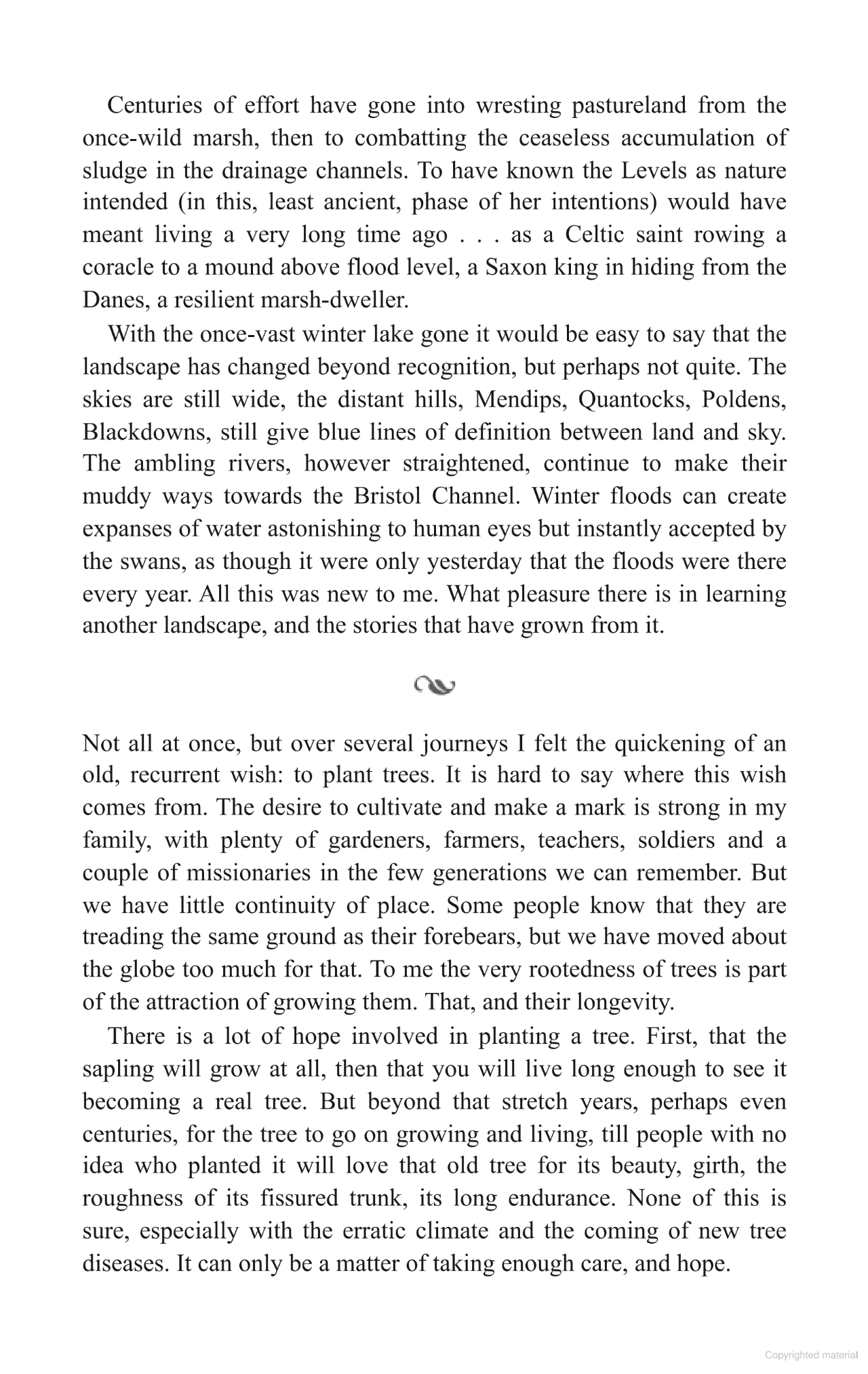 A Wood of One's Own: A lyrical, beguiling and inspiring nature memoir