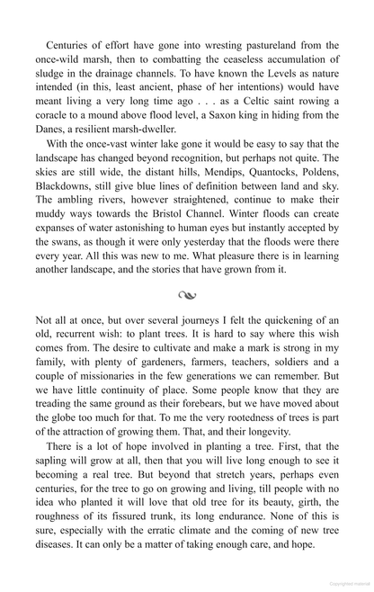 A Wood of One's Own: A lyrical, beguiling and inspiring nature memoir