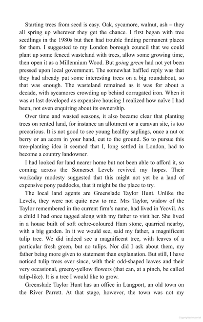 A Wood of One's Own: A lyrical, beguiling and inspiring nature memoir