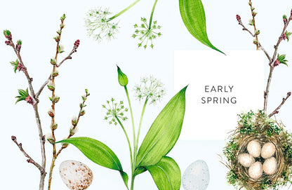 A Year of Watercolour: A Seasonal Guide to Botanical Watercolour Painting