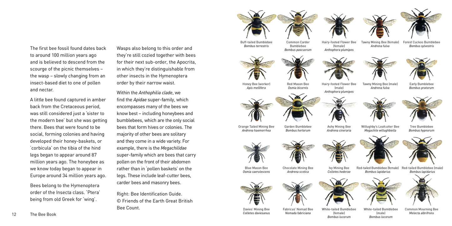 The Bee Book