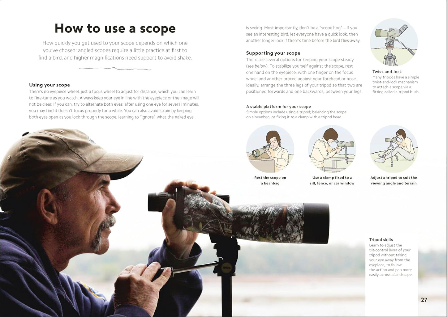 Chris Packham's Birdwatching Guide: From Beginner to Birder