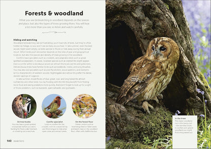 Chris Packham's Birdwatching Guide: From Beginner to Birder