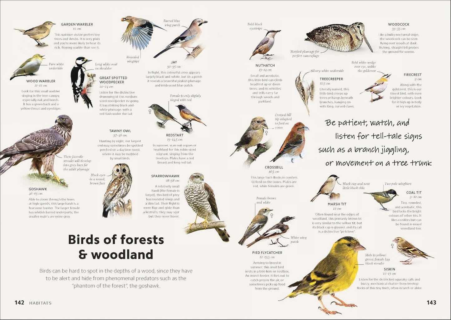 Chris Packham's Birdwatching Guide: From Beginner to Birder