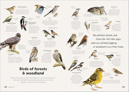 Chris Packham's Birdwatching Guide: From Beginner to Birder
