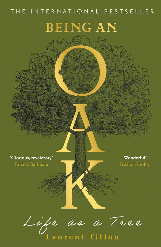 Being an Oak: Life as a tree
