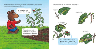 National Trust: Ben Plants a Butterfly Garden