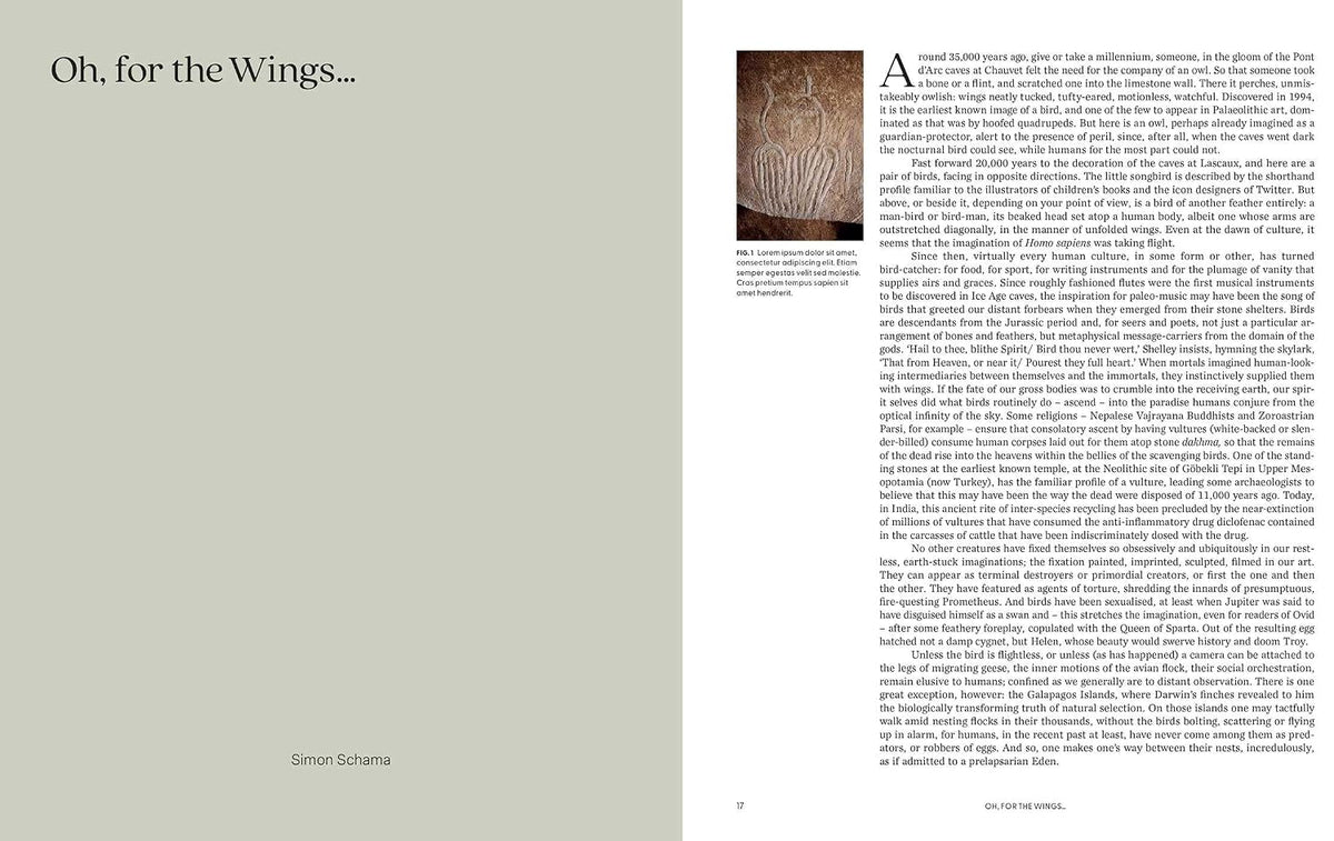 Birds: The Goldfinch, Birds, Art, and Us