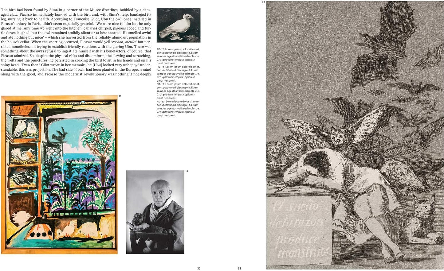 Birds: The Goldfinch, Birds, Art, and Us