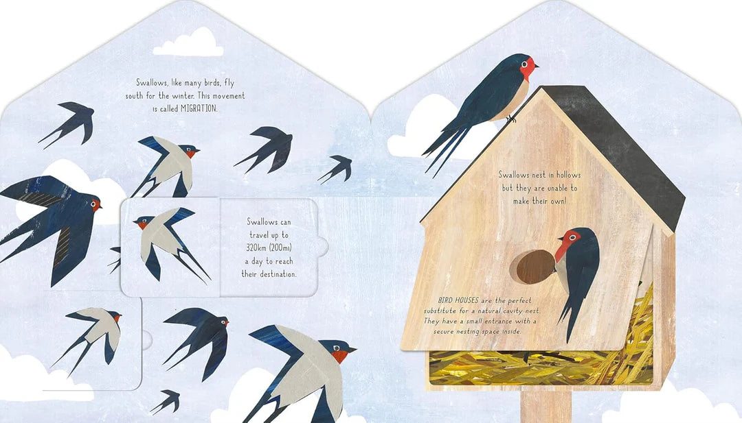 Bird House (LIFT THE FLAP)