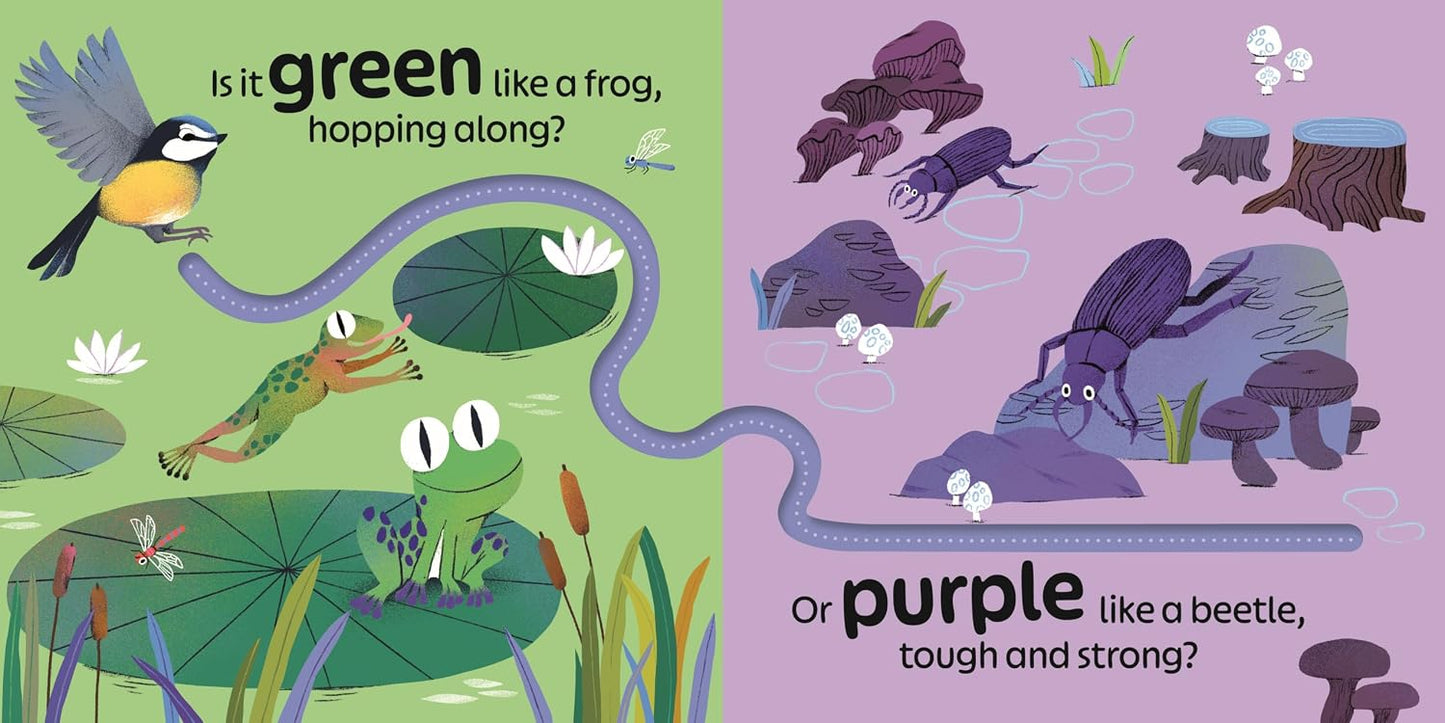 RSPB Birdie Loves Colours: With finger trails and lift-the-flap surprises!