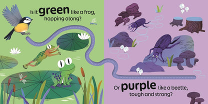 RSPB Birdie Loves Colours: With finger trails and lift-the-flap surprises!