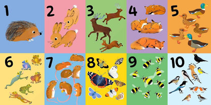RSPB Birdie Loves Numbers: With finger trails and lift-the-flap surprises!