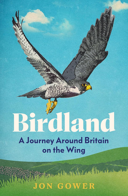 Birdland: A Journey Around Britain on the Wing