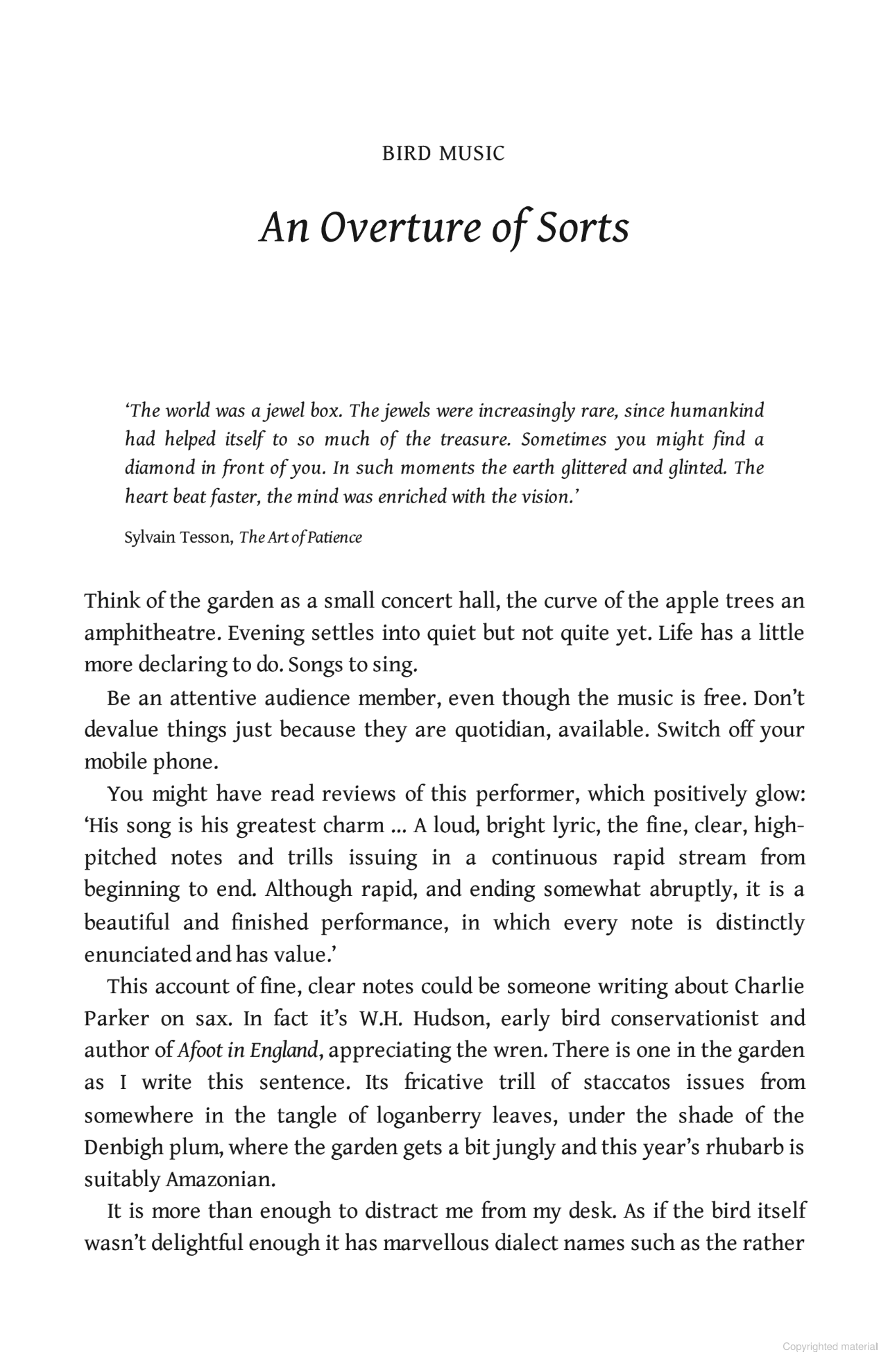 Birdland: A Journey Around Britain on the Wing