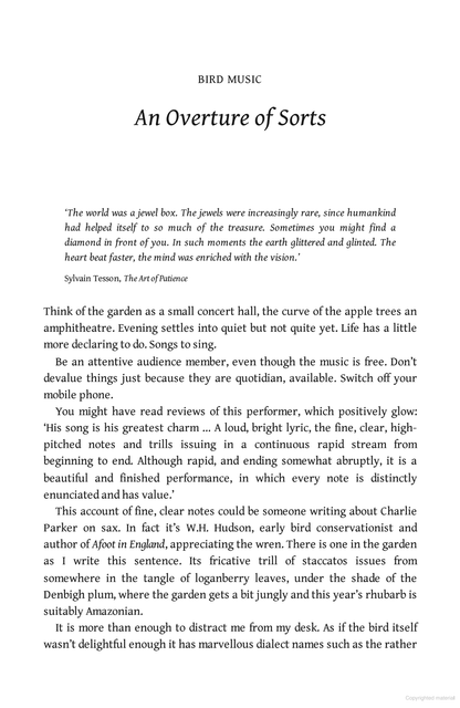 Birdland: A Journey Around Britain on the Wing