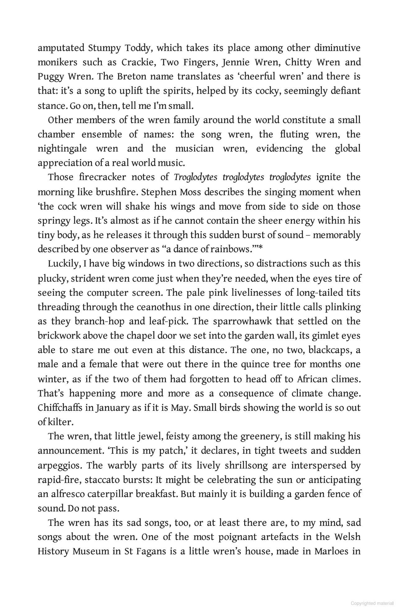 Birdland: A Journey Around Britain on the Wing