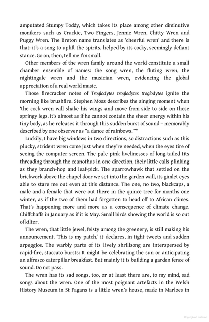 Birdland: A Journey Around Britain on the Wing