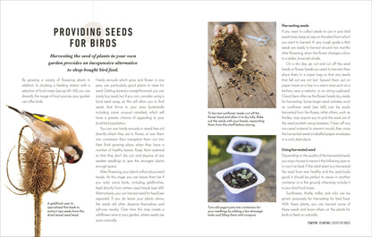 How to Attract Birds to Your Garden