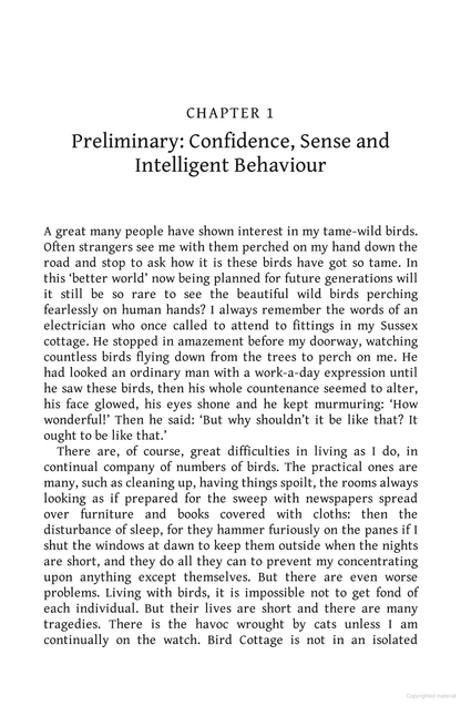 Birds as Individuals: A book about birds unlike any other!