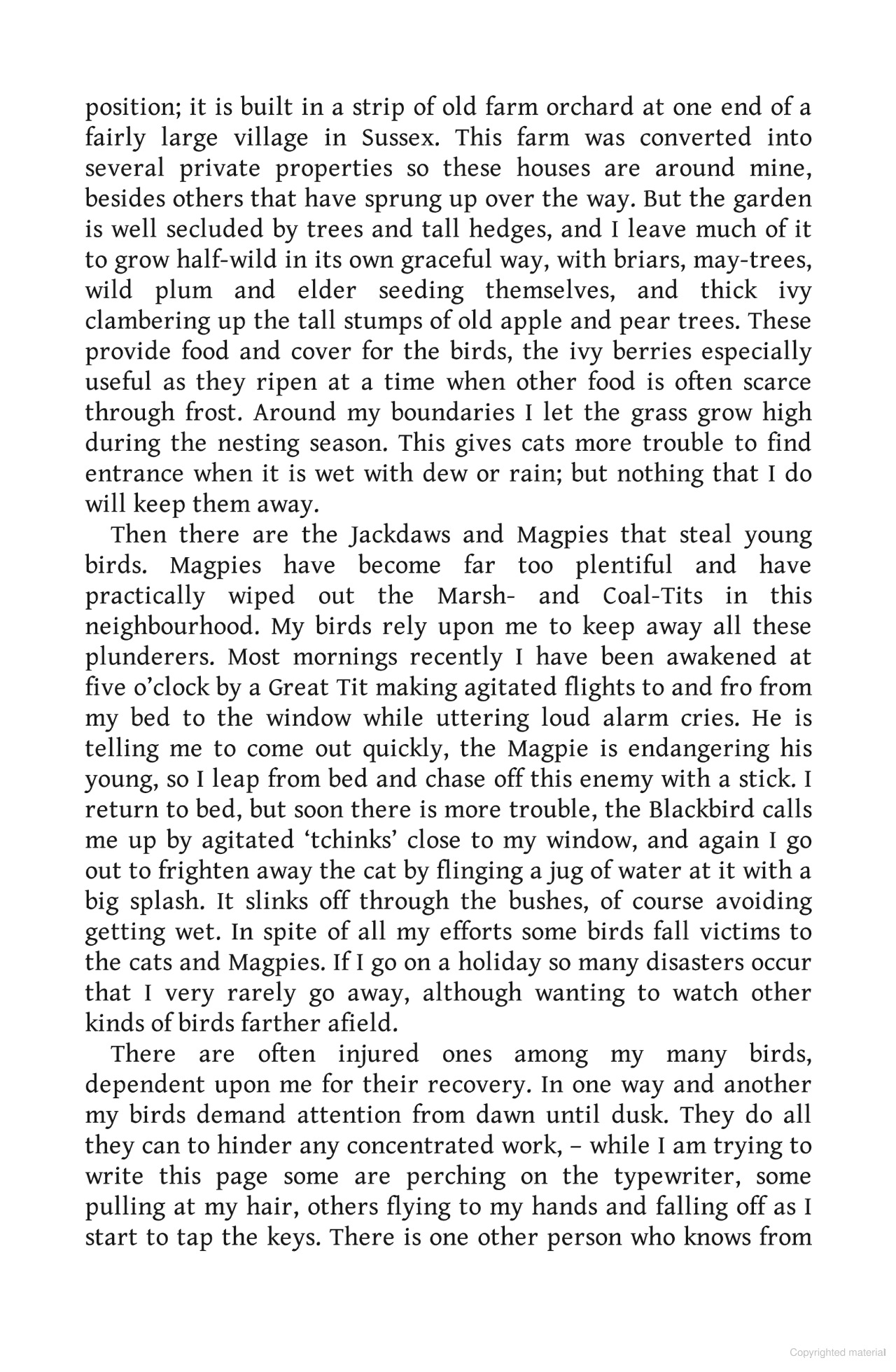 Birds as Individuals: A book about birds unlike any other!